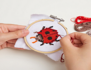 Mini Cross Stitch Kit