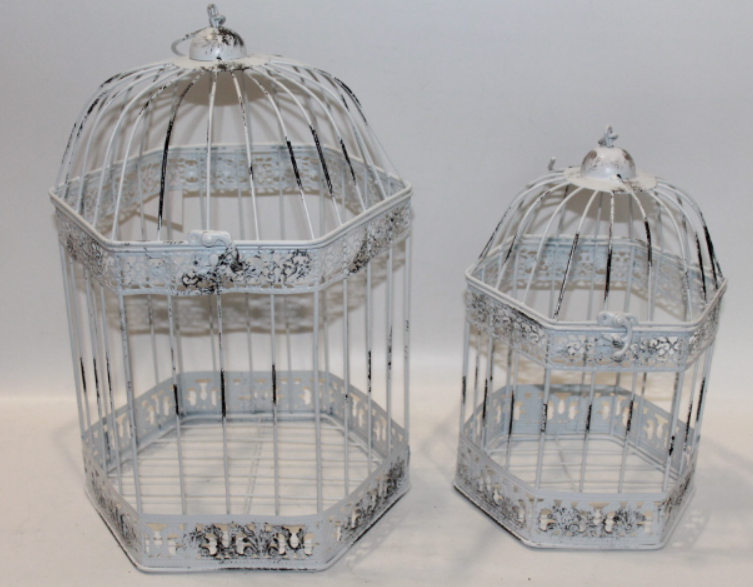 White Bird Cage