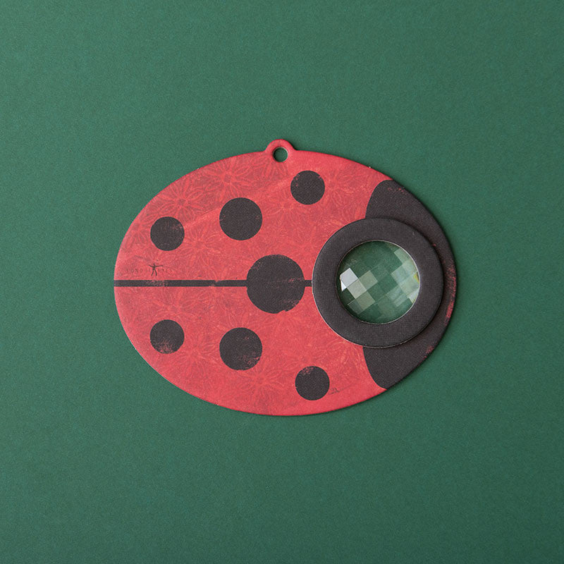 Bug Eye Kaleidoscope
