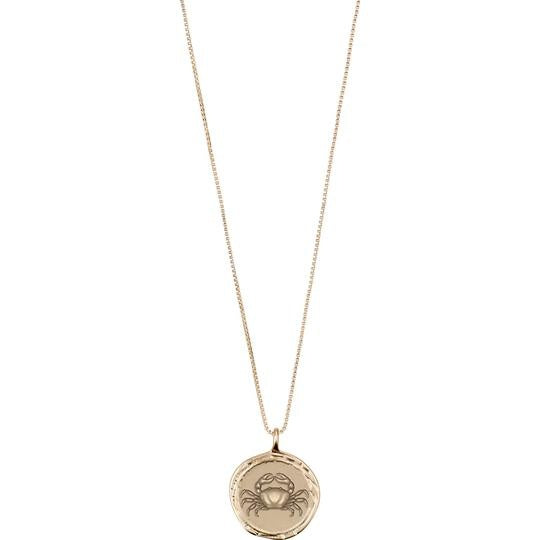 Horoscope & Constellation Coin Necklaces