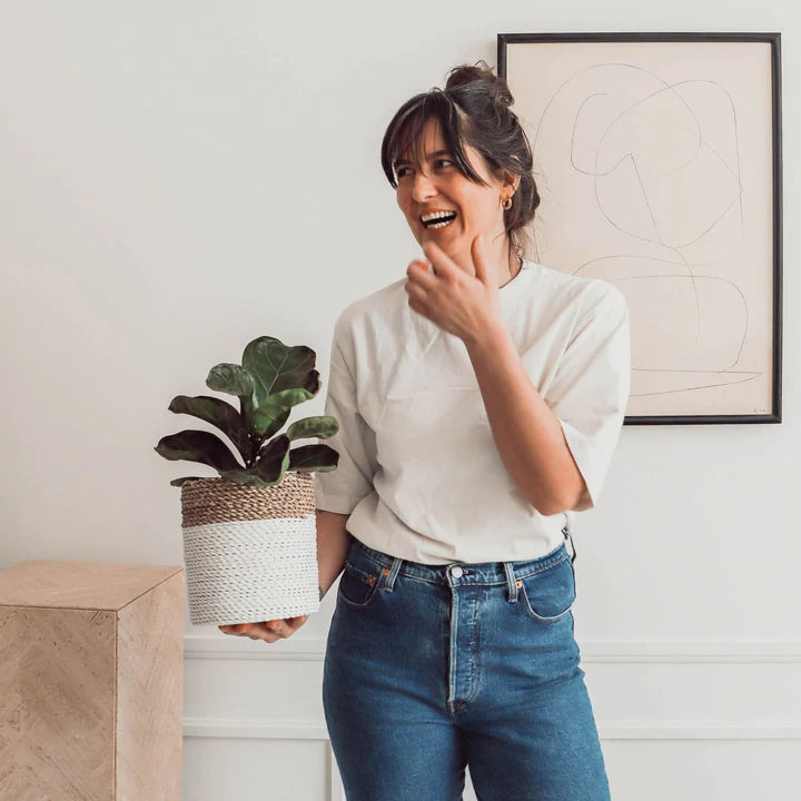 Seagrass Planter Baskets (3 Types)