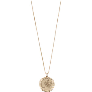 Horoscope & Constellation Coin Necklaces