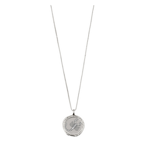 Horoscope & Constellation Coin Necklaces