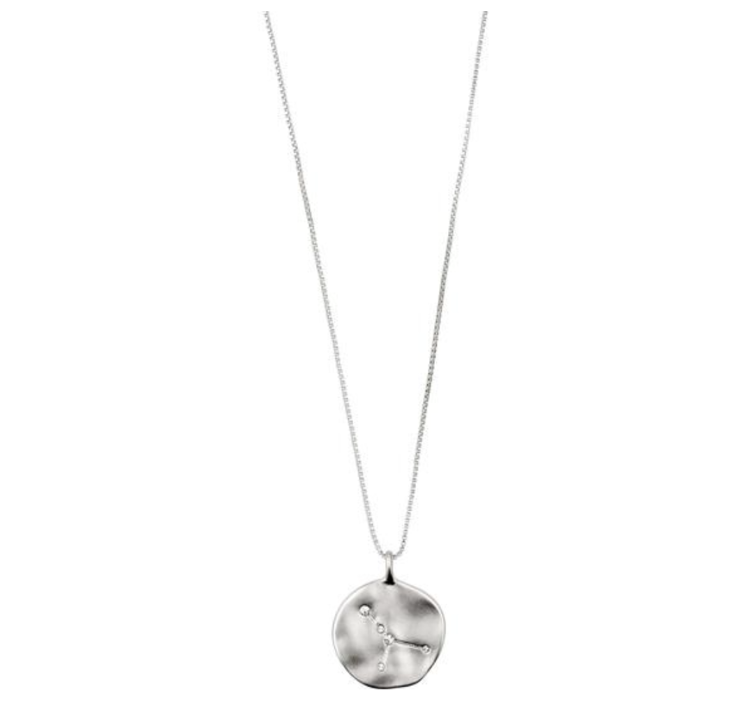 Horoscope & Constellation Coin Necklaces