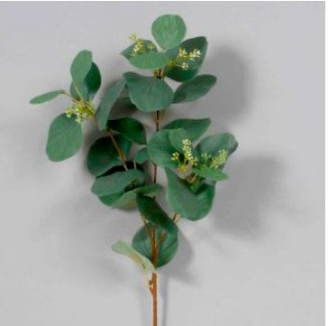 Seeded Eucalyptus Spray