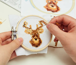 Mini Cross Stitch Kit