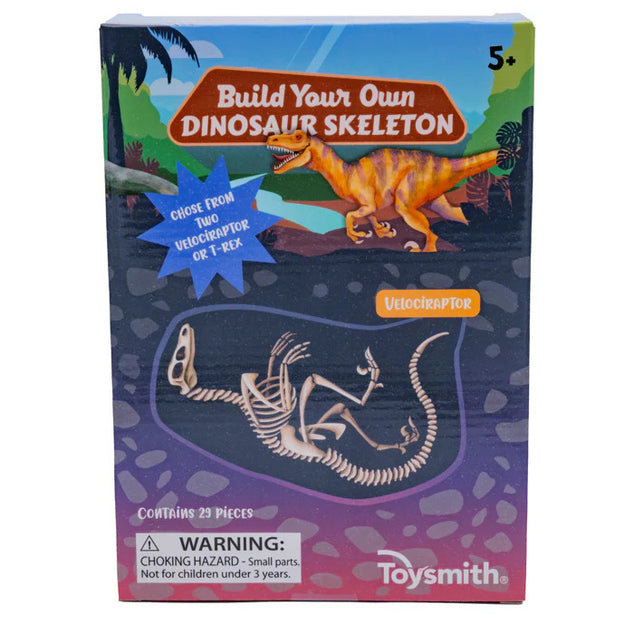 Build Your Own Dinosaur Skeleton