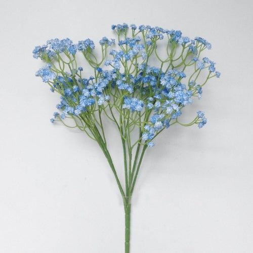 Gypsophila Bush