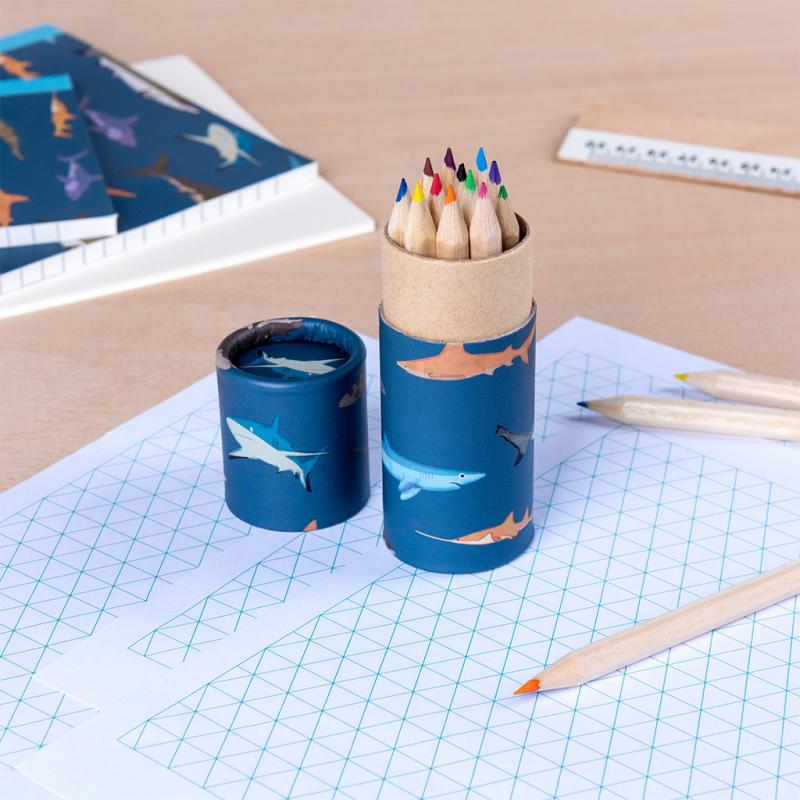 Sharks - Coloured Pencil Tube