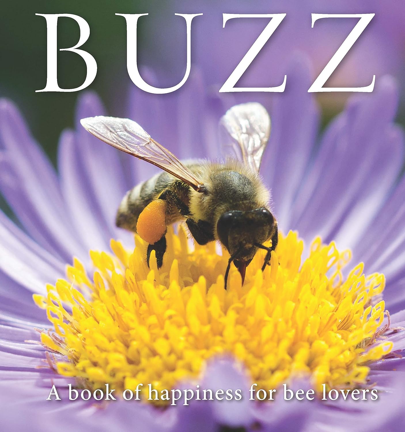 Buzz: A book of happiness for bee lovers Book