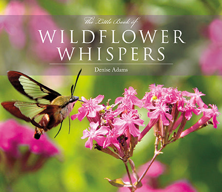 The Little Book of Wildflower Whispers - Book
