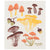 Assorted Ecologie Swedish Dishcloths