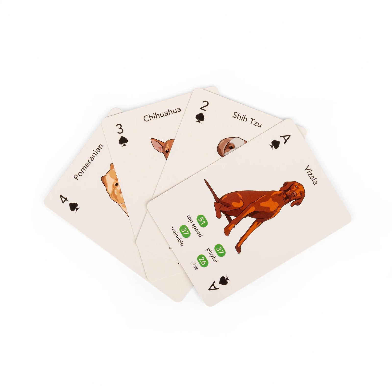 Playing Cards - Paws & Plays