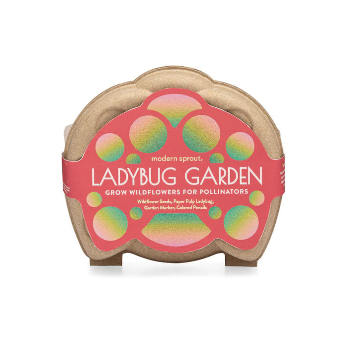 Ladybug Garden Activity Kit