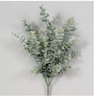 Green/Dusty Blue Eucalyptus Bush