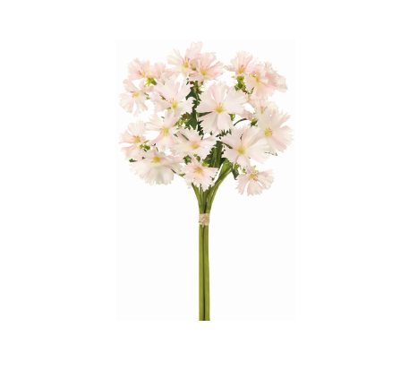 Two-Tone Dianthus Bundle