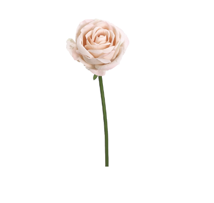 Soft Pink Rose Stem