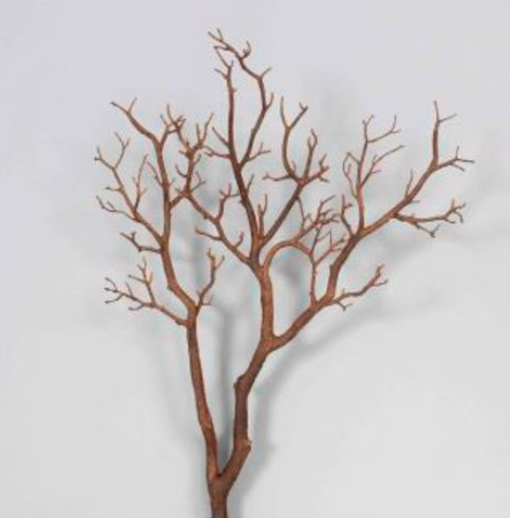 Brown Manzanita Branch