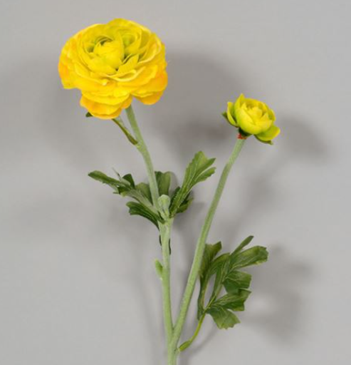 Yellow Ranunculus Spray