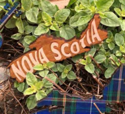 Nova Scotia Province Shape Magnet - Words