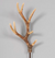 Natural Plastic Antler Pick