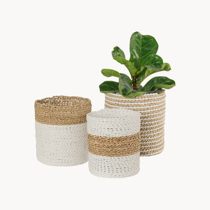Seagrass Planter Baskets (3 Types)