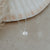 Necklace - Sand Dollar (Maritime)