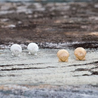 Earrings - Queen Scallop Studs