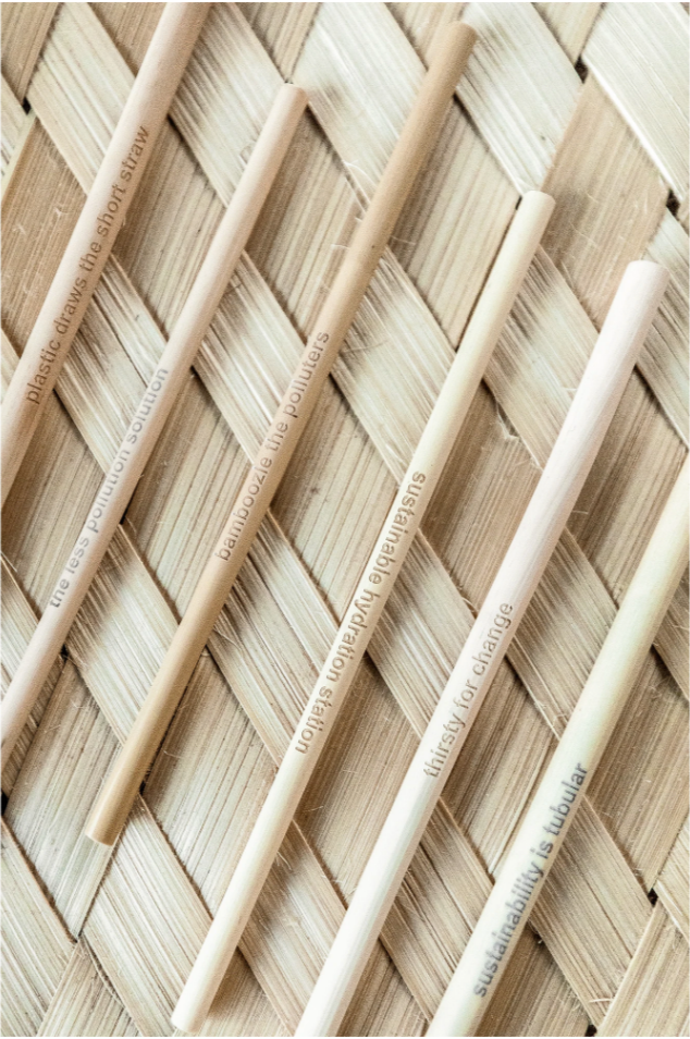 Bamboo Straws - Box of 6