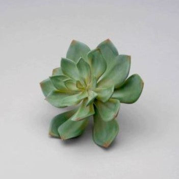 Green Faux Succulent