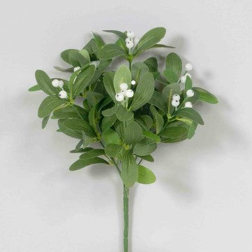 Green Mistletoe Bush