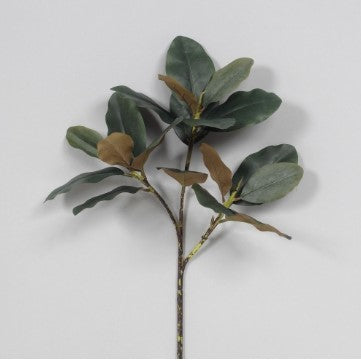 Magnolia Leaf Spray