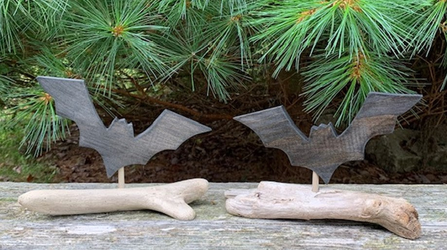 Jerry Walsh - Driftwood Bats
