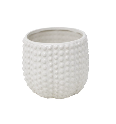 Bulle Pots (2 Sizes)