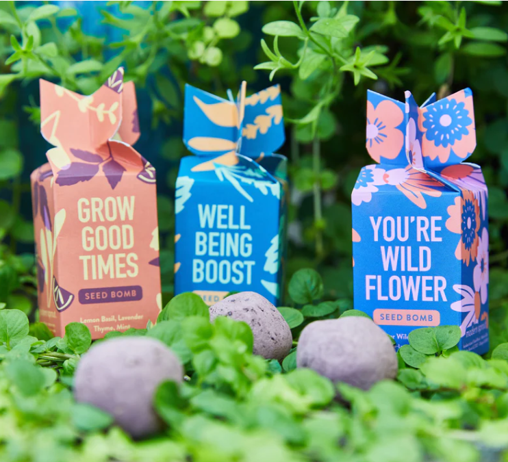 Seed Bombs (3 kinds)