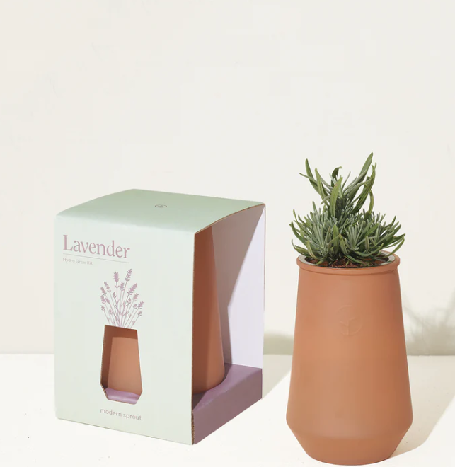 Tapered Self-Watering Herb Grow Kit