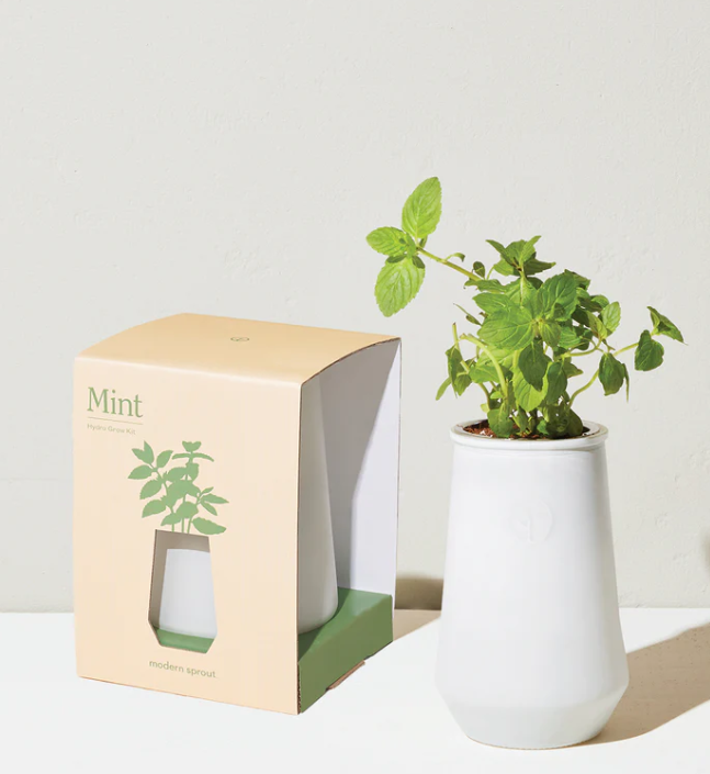 Tapered Self-Watering Herb Grow Kit