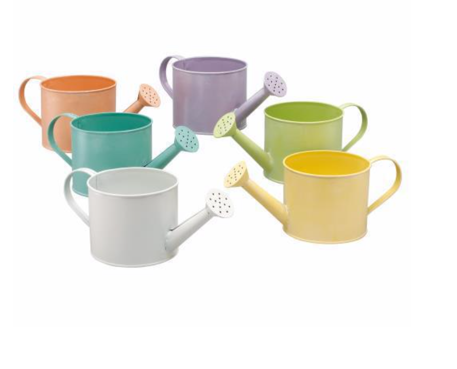 Metal Watering Can Planter Pots