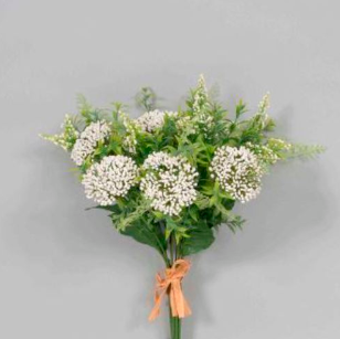 Queen Anne’s Lace Bundle