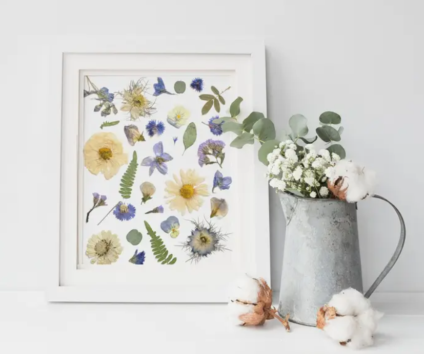 Seek & Bloom - White & Blue Pressed Flower Art Print (8" X 10")