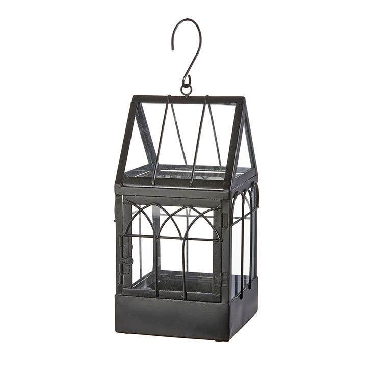 Terrarium with Hanger