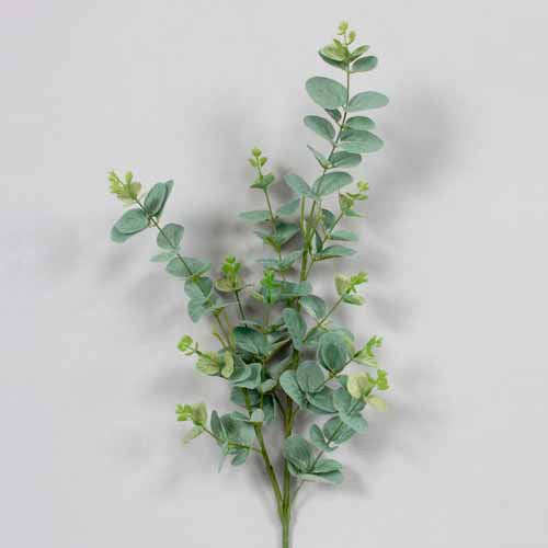 Green Eucalyptus Spray