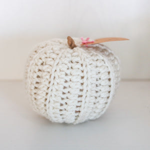 Small Locally Crocheted Pumpkin